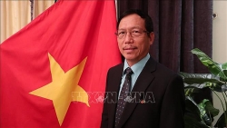 dai su quan viet nam tai saudi arabia trien khai nhieu bien phap ho tro cong dan ve phong chong dich