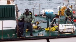Tàu ngầm chở hơn 3.000 kg cocain bị bắt ở Tây Ban Nha