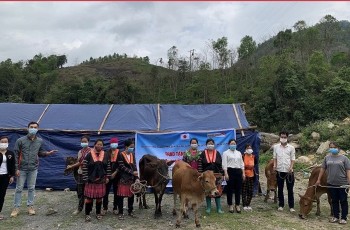 world vision trao tang bo sinh san cho hoi vien phu nu huyen ngheo bien gioi cua tinh dien bien