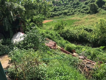 die n bie n mu a lu khien mot nguoi thiet mang va nhieu tai san bi hu hai