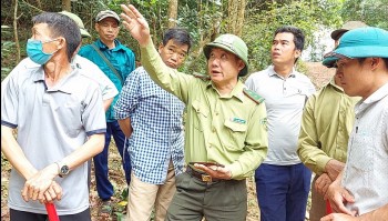 Kiểm lâm Điện Biên Đông (Điện Biên) tăng cường bảo vệ và phát triển vốn rừng