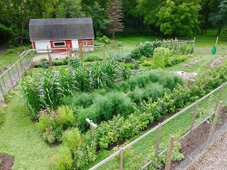 Vợ chồng trẻ cùng hai con "say mê" công việc làm vườn, phủ xanh 2,75 hecta đất trống