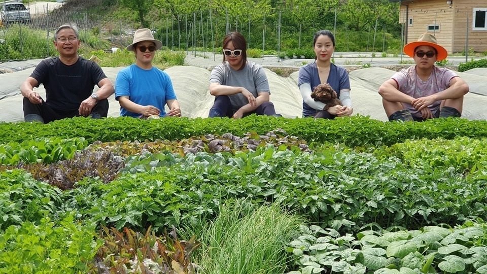 Người đàn ông dành cả thanh xuân để nghiên cứu trồng thành công cả nghìn mét vuông rau quả sạch