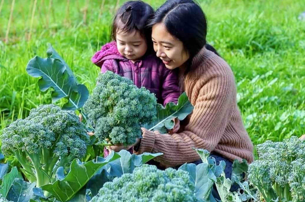 Cuộc sống bình yên của người mẹ trẻ dành cả thanh xuân cùng con gái bên khu vườn tươi xanh cây trái
