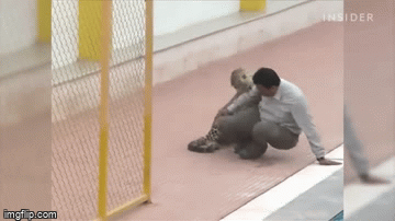 video bao dom dot nhap truong hoc hang loat nguoi bi tan cong