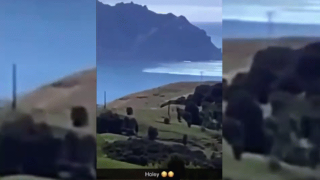 video song than xuat hien o new zealand sau dong dat manh o thai binh duong