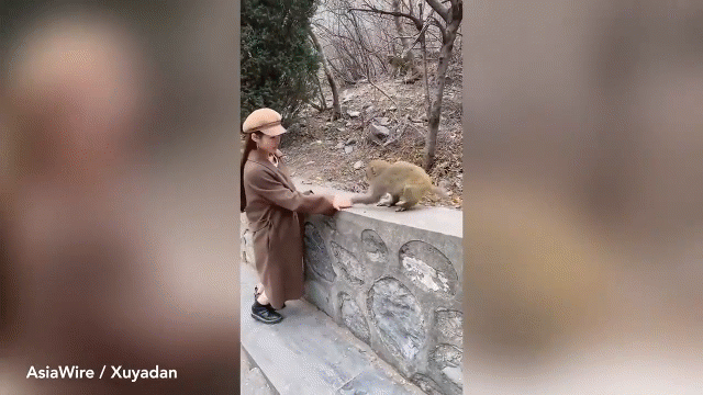video dang tao dang cho khi an thieu nu bat ngo bi giat phang toc gia