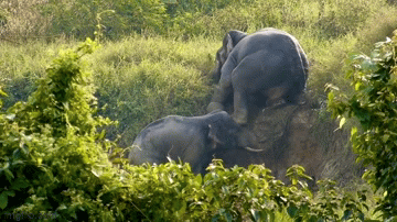 video voi sang kien hop suc giup nhau thoat khoi thanh muong tron truot