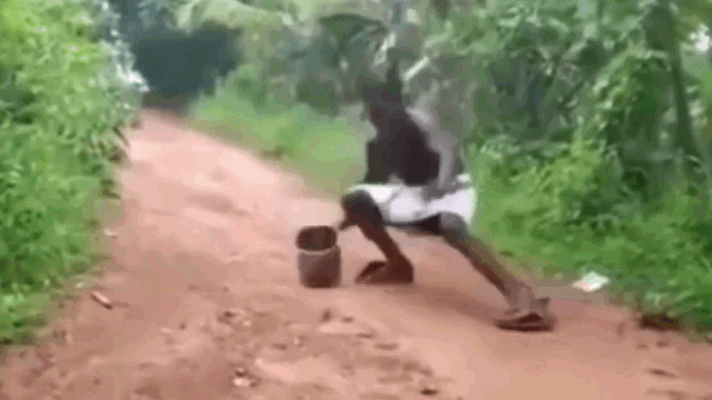 Video: Phản ứng hài ước của nam thanh niên khi gặp bất ngờ gặp rắn