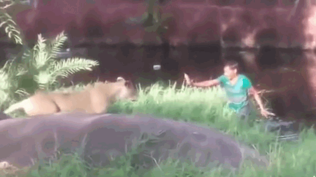 video say ruou nguoi dan ong nhay vao vuon thu cai nhau voi su tu