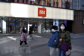lau nam goc va tap doan xiaomi nhat tri giai quyet tranh chap
