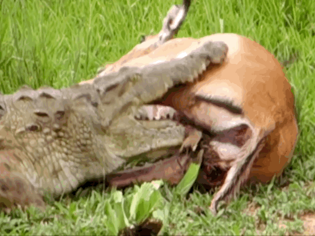 video nam gon trong ham ca sau linh duong van tao nen ky tich vao phut chot