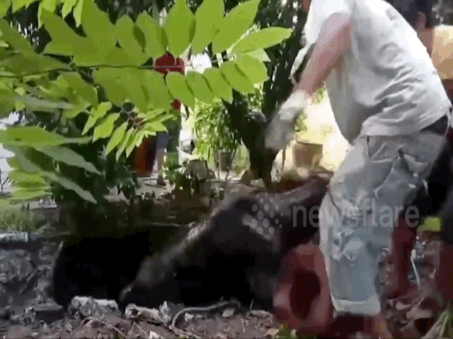 video nong dan thai lan vat va keo chu bo thoat khoi gieng bun