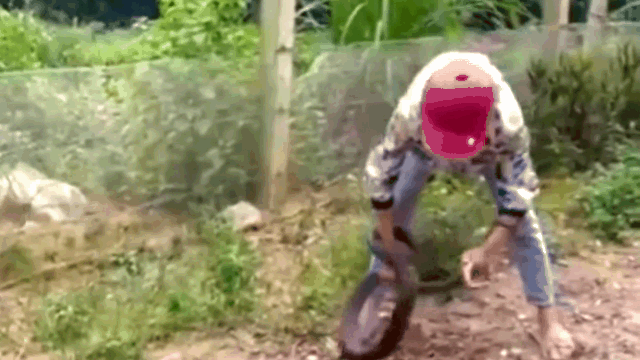 video nguoi phu nu dung tay khong tom gon ran khung