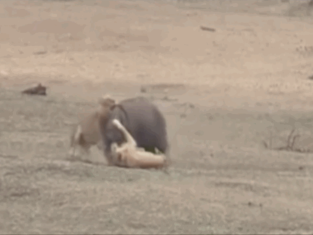 video cham mat cap su tu trong luc lac duong ha ma co thoat nan