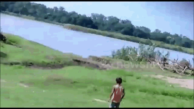 video cho nha rao riet truy duoi ngan ho vao lang