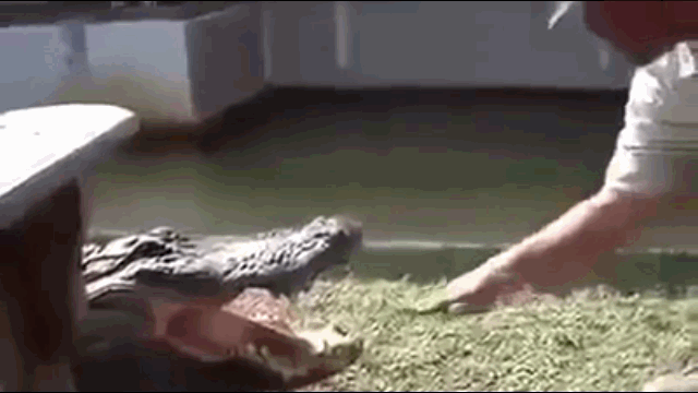 video treu nguoi ca sau nguoi dan ong nhan cai ket dau don