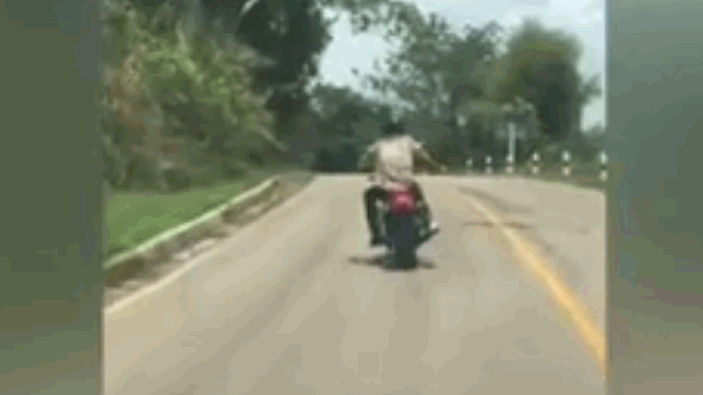 Video: Đang bò trên đường, rắn độc bất ngờ lao lên đớp người đi xe máy