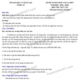 Đáp án đề thi Ngữ văn tuyển sinh lớp 10 vào THPT tỉnh Nghệ An năm 2020