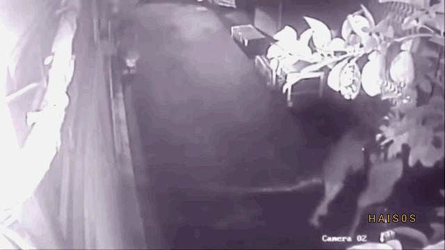 video cuop tao ton giat tui xach keo le co gai trong dem