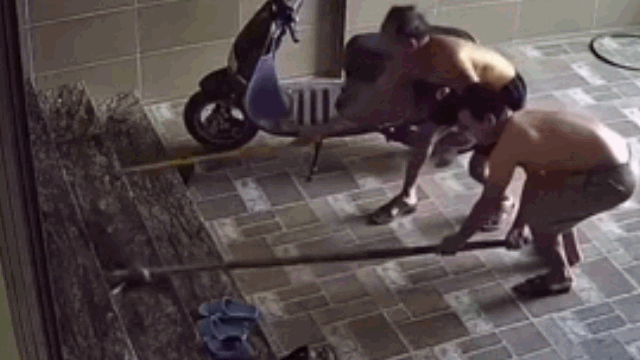 video ran bo vao nha dien cuong tan cong nguoi