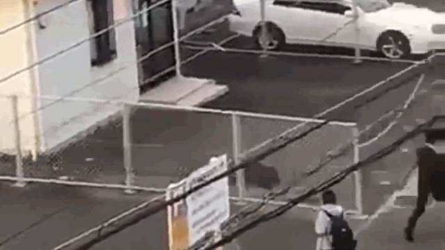 video nguoi dan ong bi lon rung huc nga tren pho
