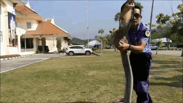 video linh cuu hoa dung tay khong tom gon ho mang chua dai gan 5m