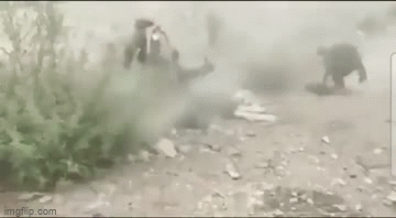 video khoang 200 binh linh taliban bi luc luong khang chien afghanistan phuc kich