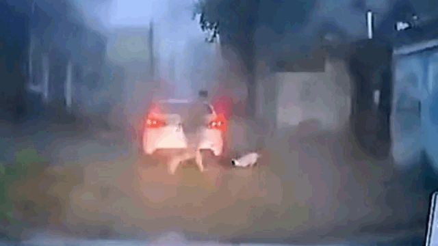 video nguoi dan ong phan xa xuat than kip thoi cuu tai xe bi dien giat
