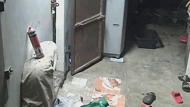 video dam phai ran ho mang chua ngay bac cua nguoi phu nu la het that thanh