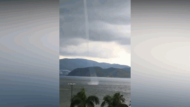 video can canh voi rong cao ca tram met tren bien nha trang