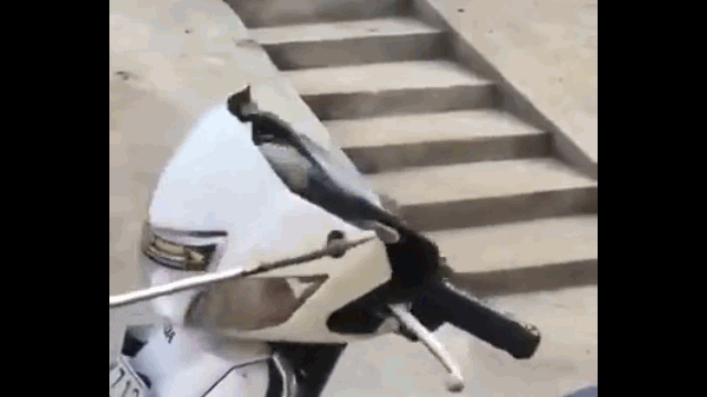 video ho mang lao ra khoi dau xe may roi tan cong nguoi