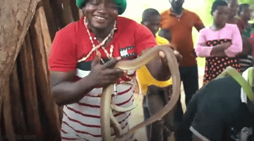 video ky la bo toc khieu vu voi ran o tanzania