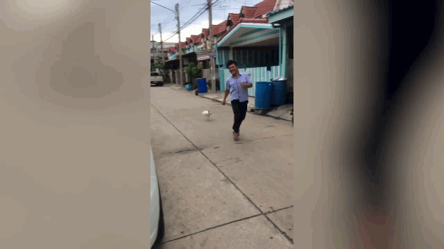 tinh huong hai huoc con ga hung han ruot duoi nguoi dan ong chay thuc mang tren pho