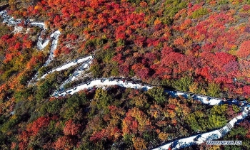 Mãn nhãn với khung cảnh mùa thu đẹp như tranh vẽ ở ngọn núi Thái Hành Sơn