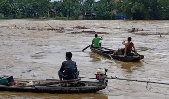 Video: Người dân liều lĩnh bơi thuyền vớt củi bất chấp nước sông dâng cao cuồn cuộn