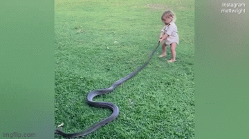 video be 2 tuoi keo tran khung ra khoi vuon nha gay soc