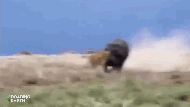 video co tinh gay su voi ha ma su tu nhan bai hoc dang long