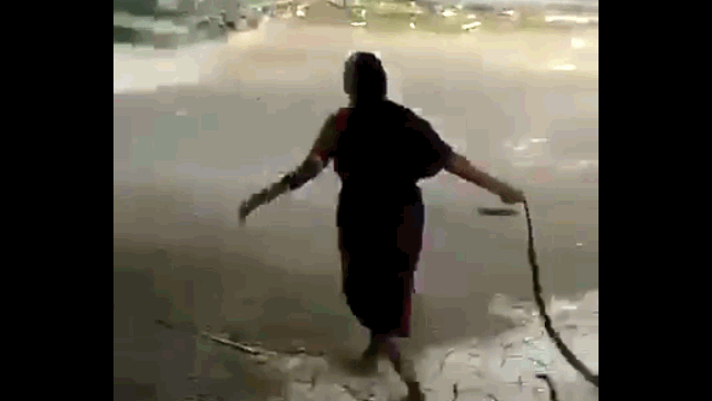 Video: Cụ bà dùng tay không kéo lê con rắn trên đường