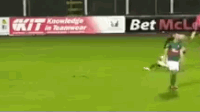 video bi thung luoi thu mon tuc toi lao toi danh guc hau ve doi nha