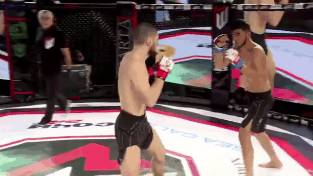 Video: Tung cú đá nhanh như chớp, cao thủ MMA hạ đối thủ trong tích tắc