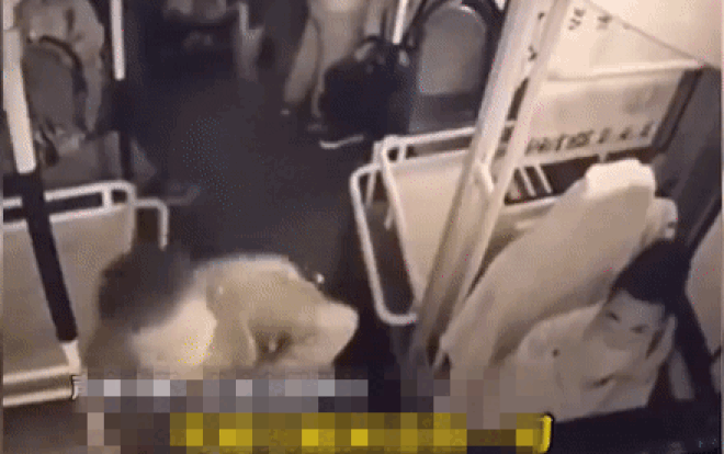 video buc tuc vi xe chay qua cham cu ong vac xe day phang vao dau tai xe