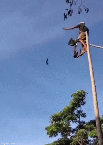 Video: Người đàn ông trổ tài 'câu chim' trên trời