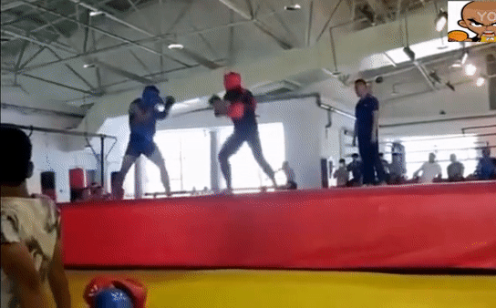 video lo dai thach dau cao thu vo si triet quyen dao bi da cam dau xuong dat roi ngat xiu tai cho