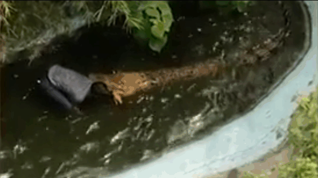 video nham sat thu dam lay la mo hinh nguoi dan ong suyt mat mang