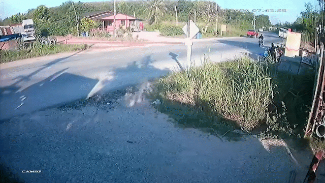 camera giao thong kinh hoang khoanh khac xe tai lat nhao khi qua khuc cua tu than
