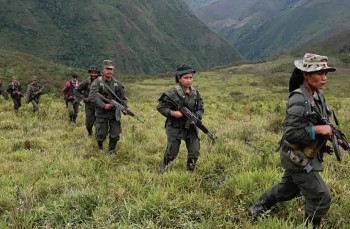 hoa ky dua luc luong farc ra khoi danh sach to chuc khung bo nuoc ngoai