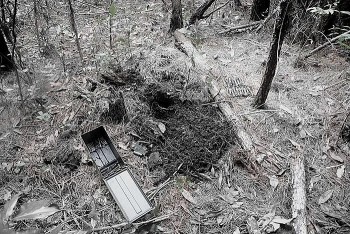 hang nghin thiet bi no boc hoi khoi kho luu tru cua quan doi hoa ky