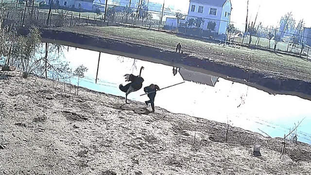 video dot nhap ao ca nguoi dan ong bat ngo bi da dieu tan cong toi tap