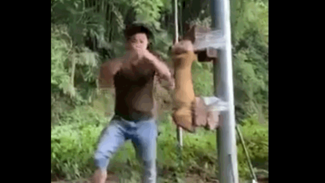 video bieu dien pha da gay chan bo vo si nhan cai ket be mat